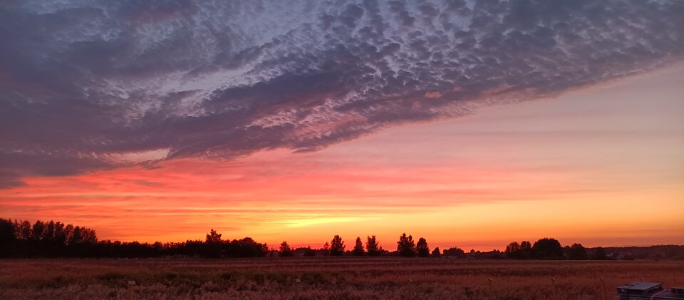 IMG_20250724_205711_667.jpg - konserwator1973