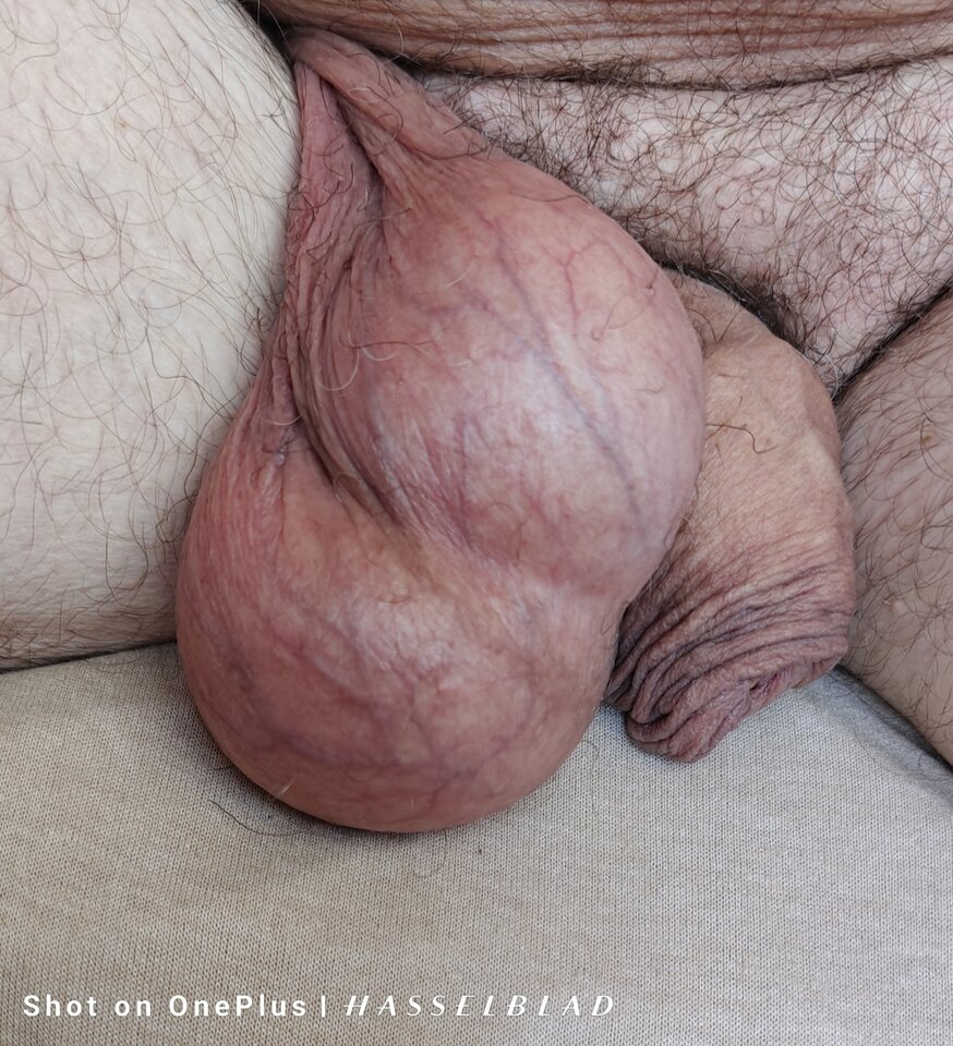 1000015774.jpg - jogan