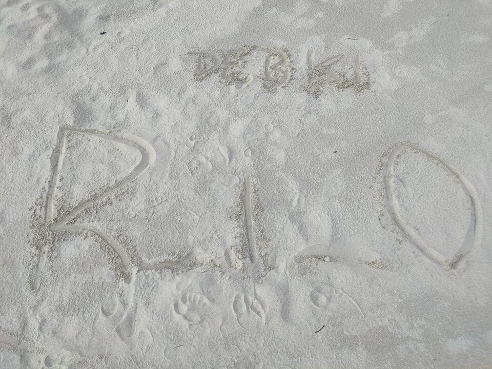 IMG20250725072442.jpg - R_i_o