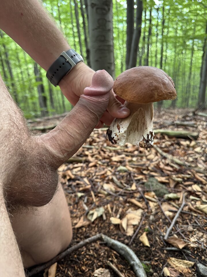 IMG_2628.jpeg - Lucas881