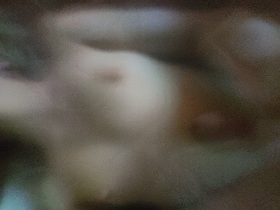 IMG_20250726_062212.jpg - barabararikitikitak