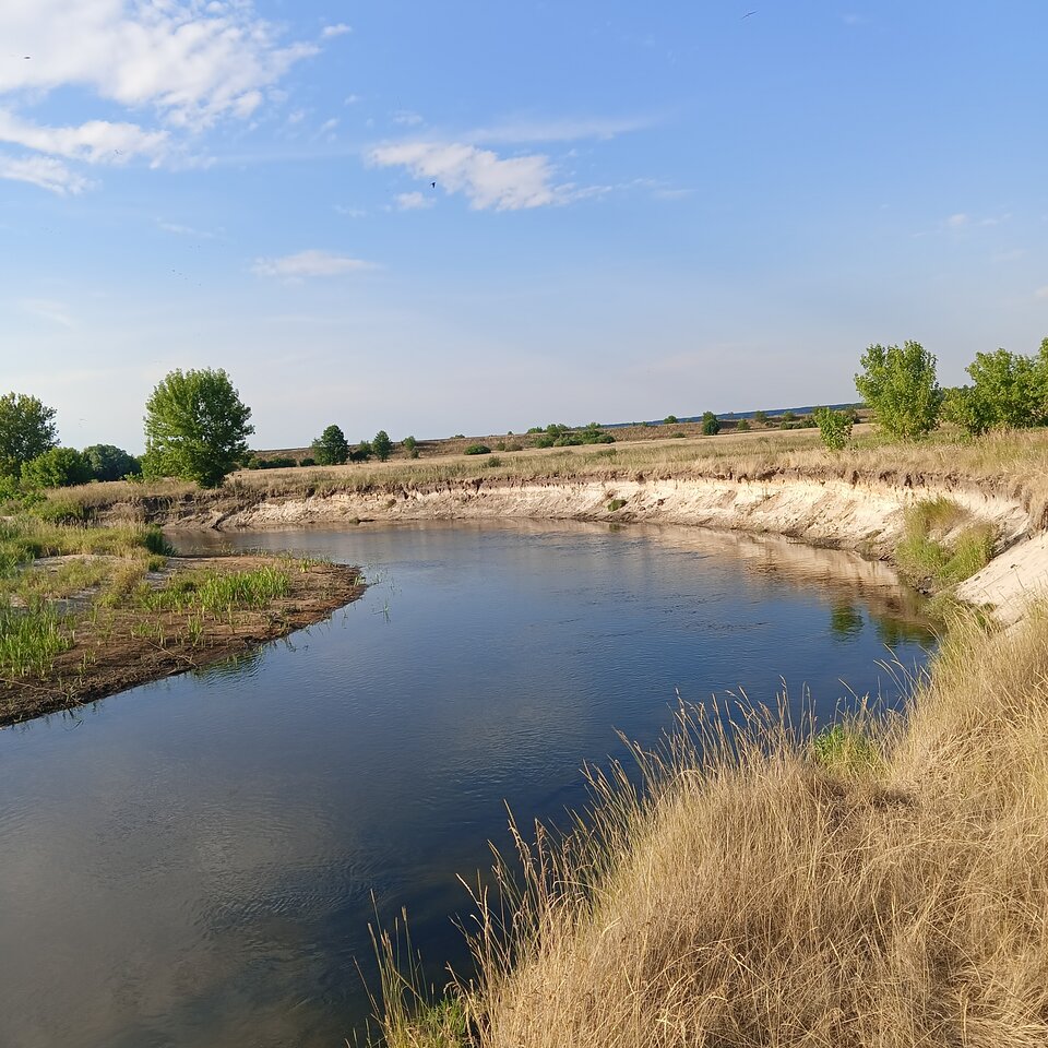 1000004002.jpg - Wszolek