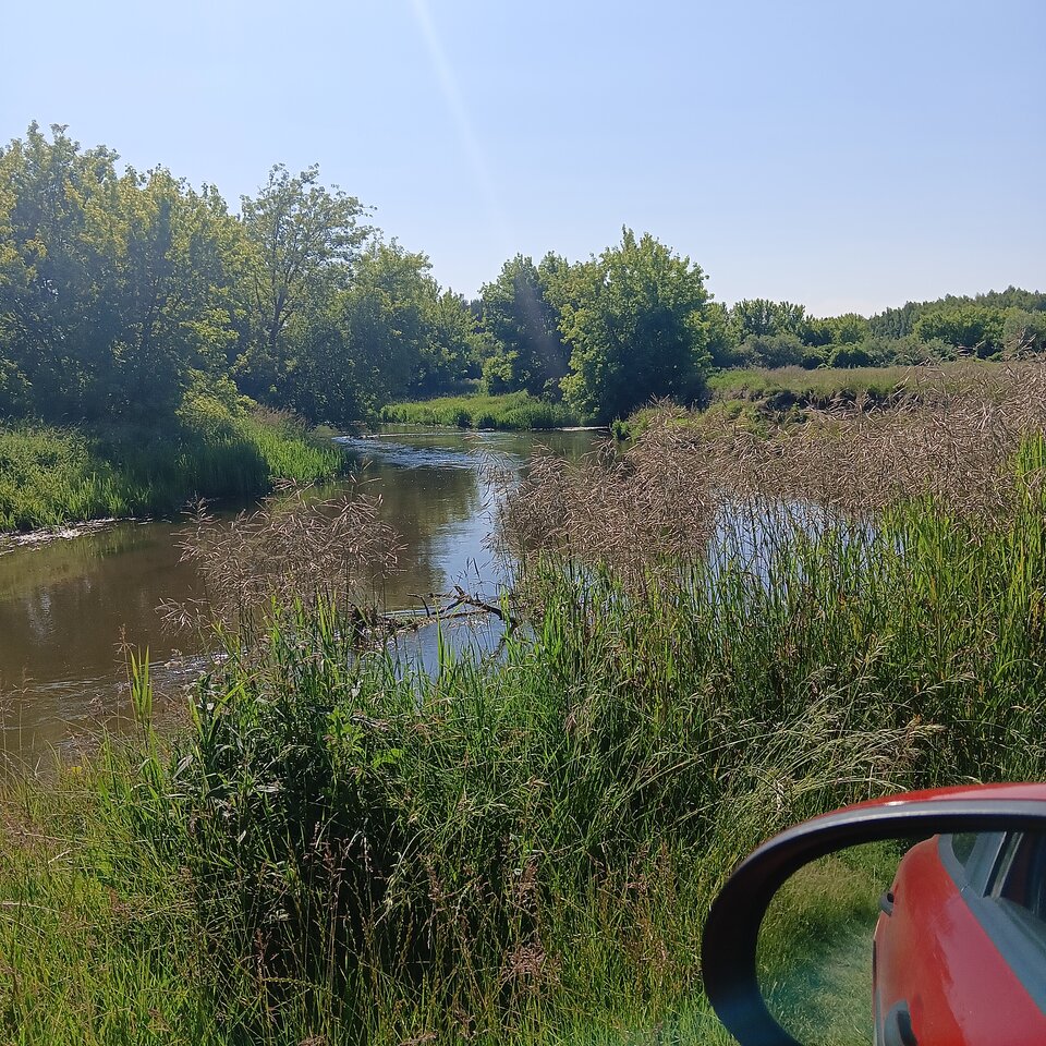 1000003612.jpg - Wszolek