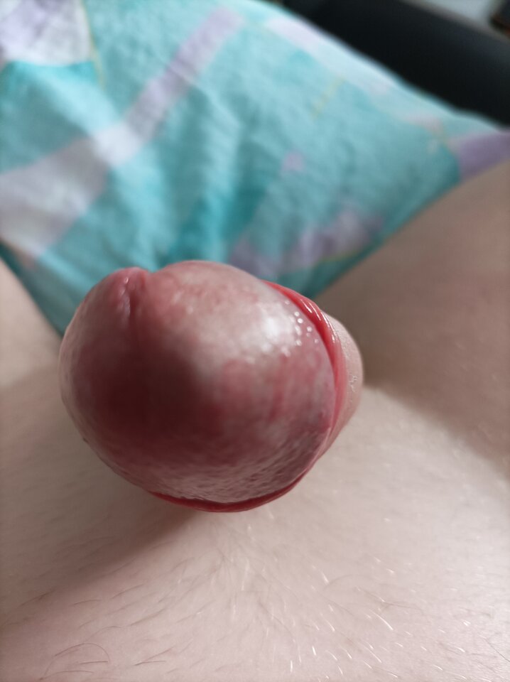 17535163085397371370429273417579.jpg - Rajstopypl