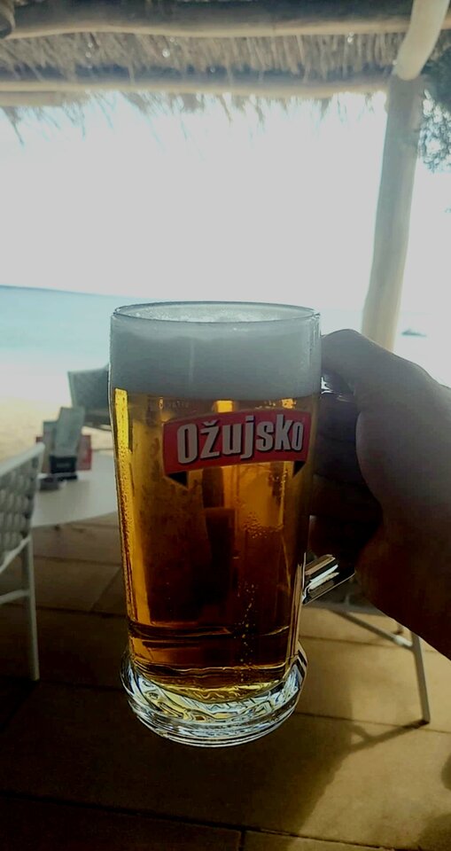 20250726-114051_Gallery.jpg - Paxx