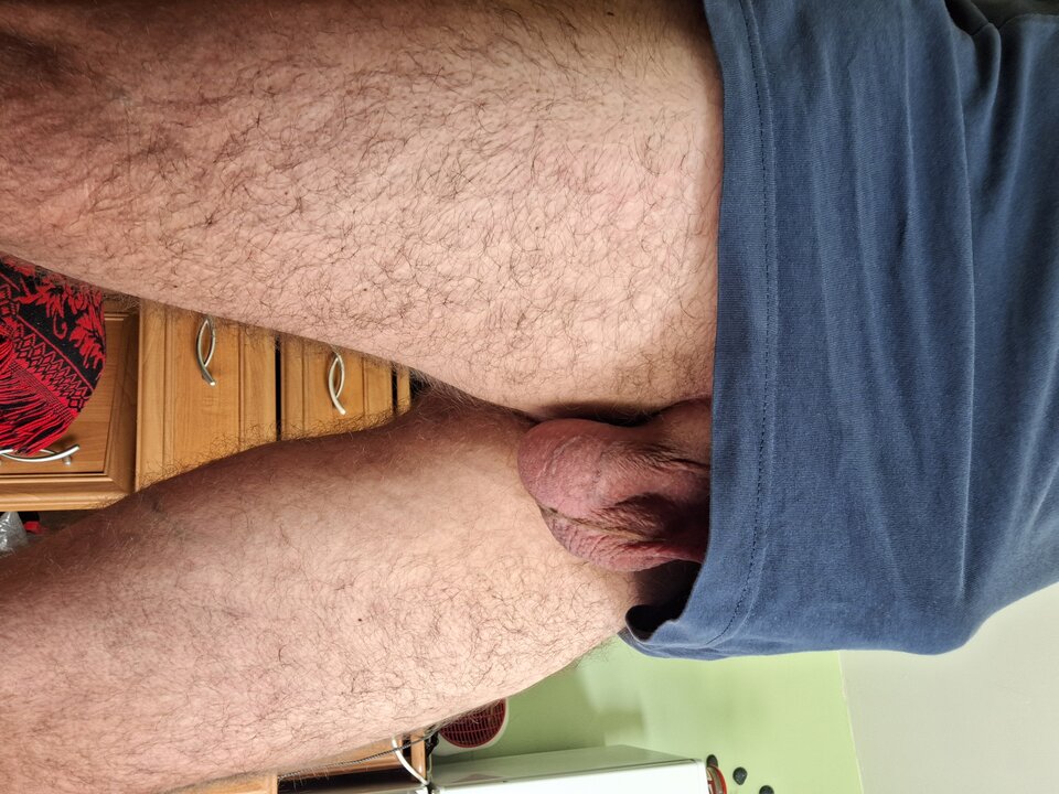 1000001850.jpg - Olesnica50