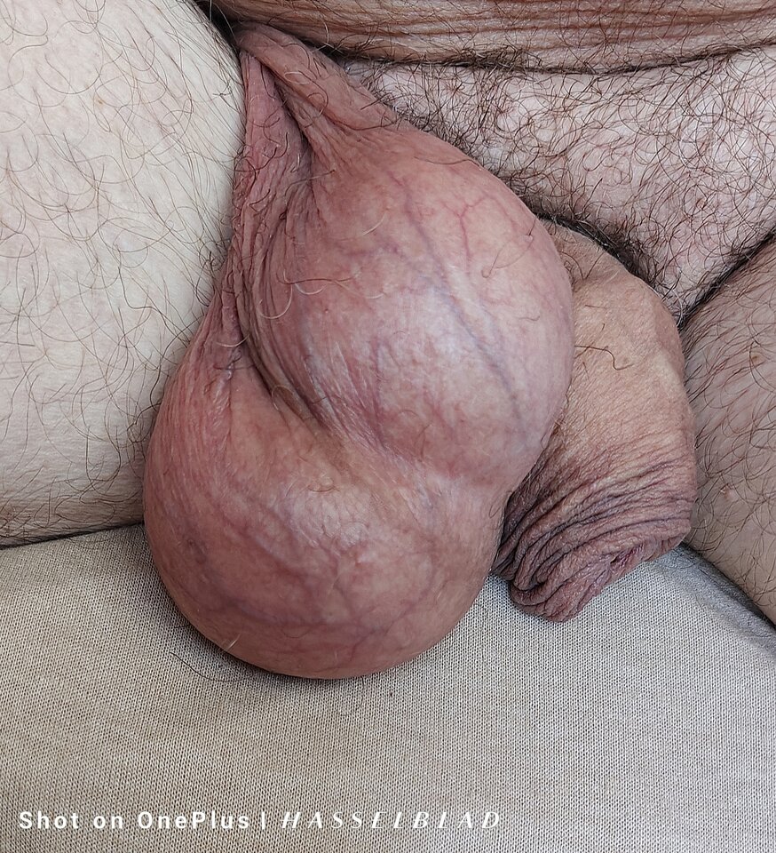 1000015870.jpg - jogan