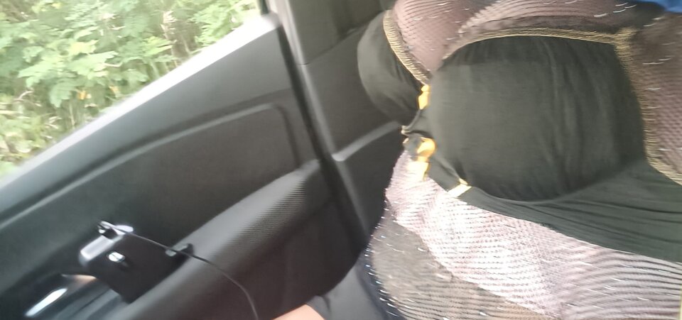 IMG20250726195738~2.jpg - paulstarkface