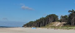 IMG_20250726_181514.jpg