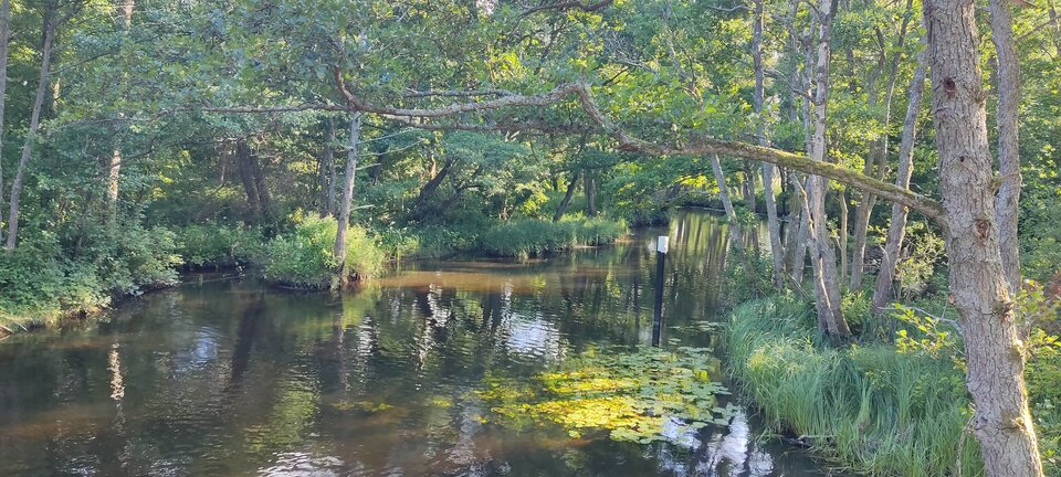 IMG_20250726_175329.jpg - edytkaandrzej