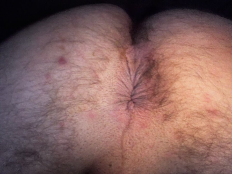 IMG_1375.jpeg - bra420