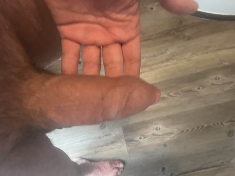 IMG_4270.jpeg - kuba202610