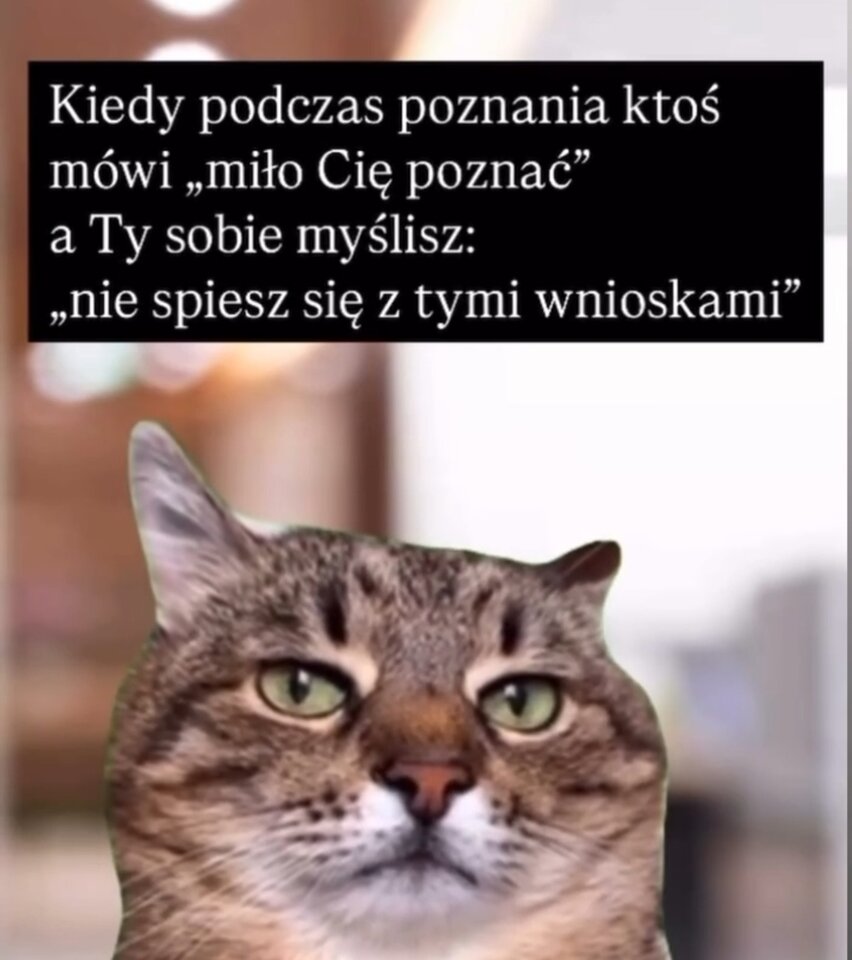 IMG_20250726_010503.jpg - Nicci