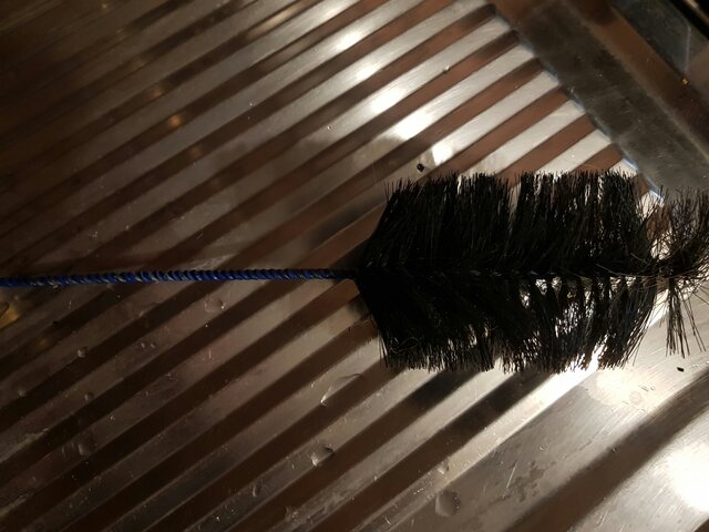 czy_nadaje_sie_na_suczke