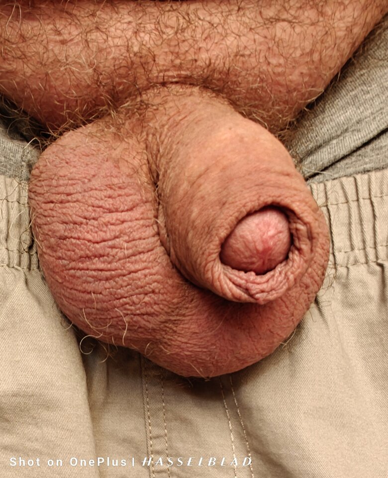 1000015841.jpg - jogan