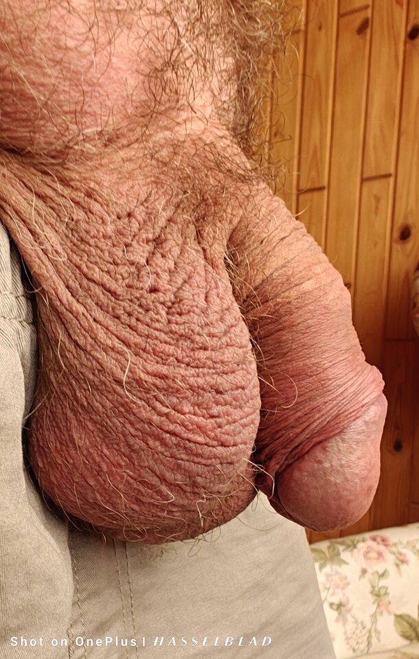 1000015844.jpg - jogan