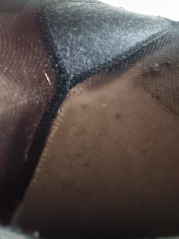 IMG_20250727_113039.jpg - Rajstopypl