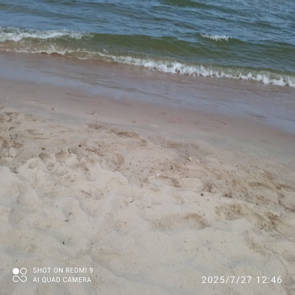 IMG_20250727_124608.jpg - Grzes8020