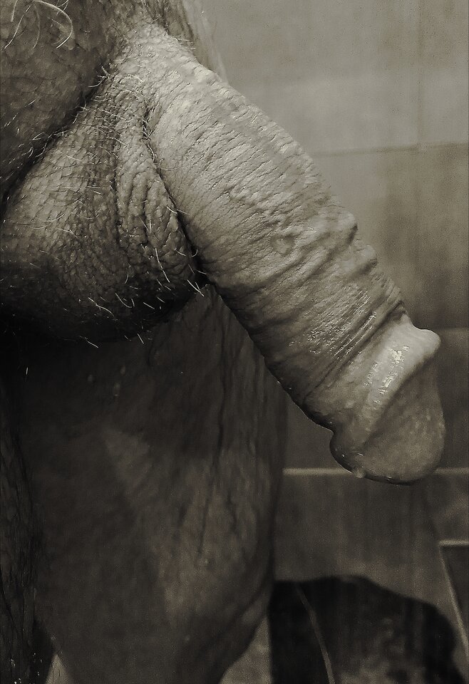 Polish_20250727_202859936.jpg - Andrzejek_72