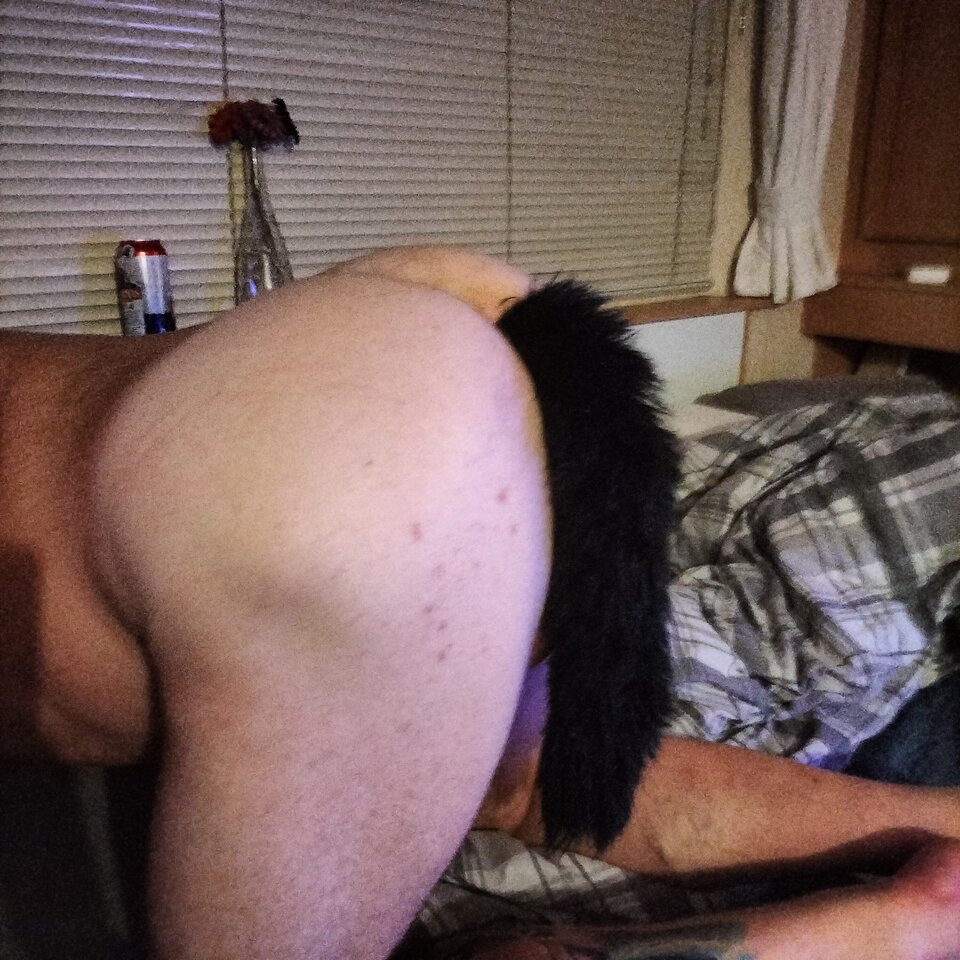 IMG20250728041111.jpg - Moliilolek32