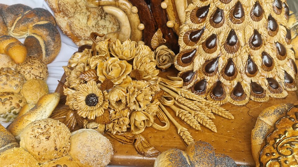 1000040124.jpg - XXXrentier