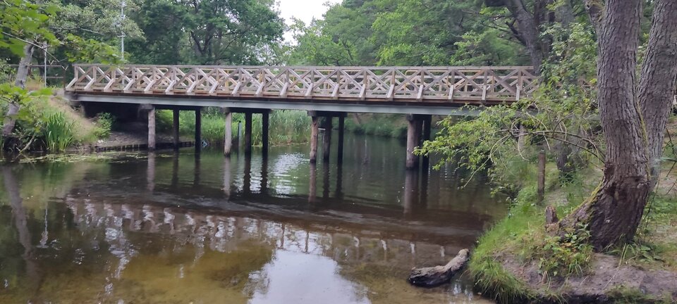 IMG_20250728_065959.jpg - edytkaandrzej