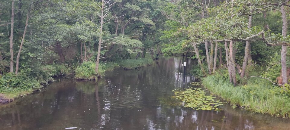 IMG_20250728_070045.jpg - edytkaandrzej