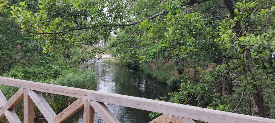 IMG_20250728_070037.jpg - edytkaandrzej