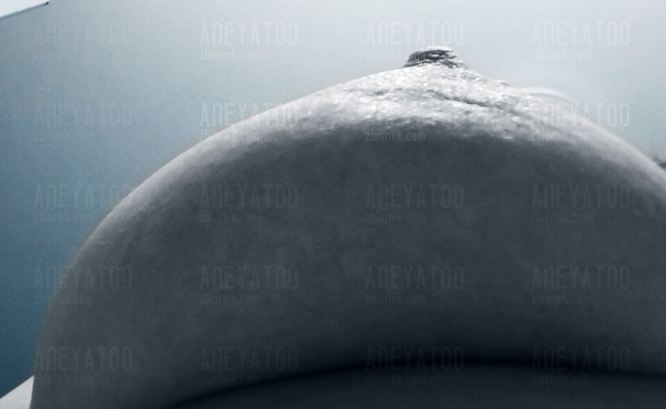 7999970e-6542-4d80-8578-70983922939b-1_all_9902.jpg - Aneyatoo