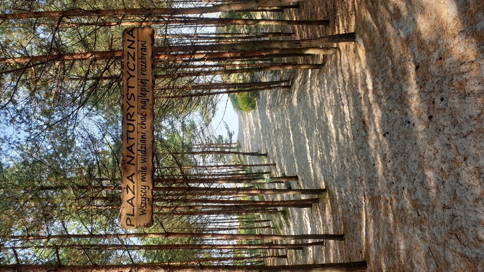 20240924_122825.jpg - Pomorzanie4847