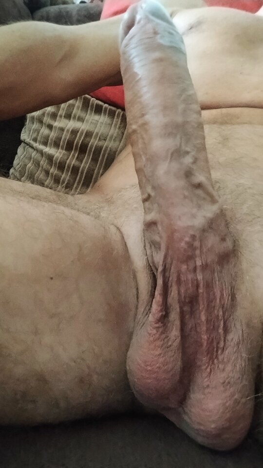 IMG_20250728_113954320 (1).jpg - Sport4