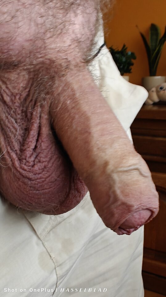 1000015934.jpg - jogan