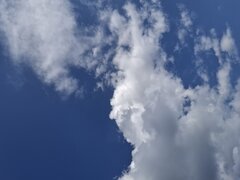 1000018408.jpg
