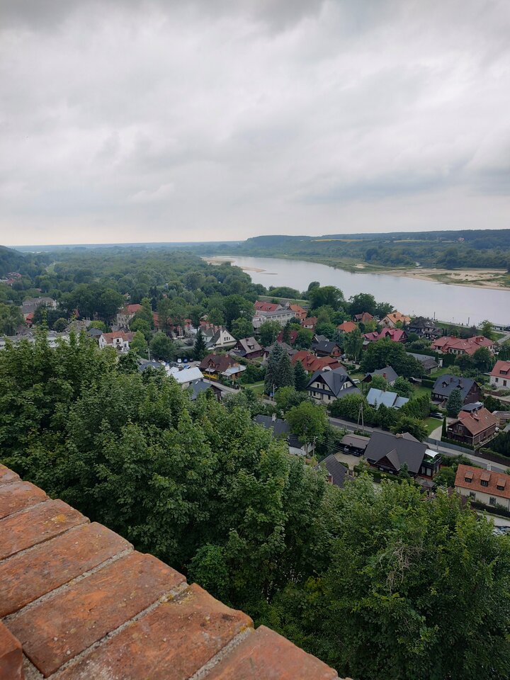 IMG_20250727_125538642_HDR.jpg - gryft