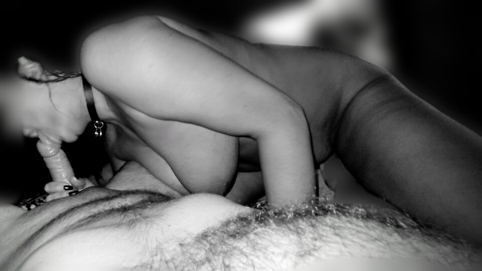 1000011215.jpg - BoToPara