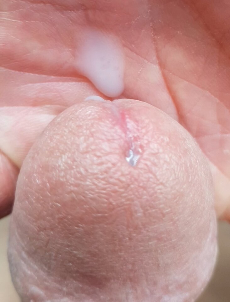 20250728_194302.jpg - Whitelittlecock