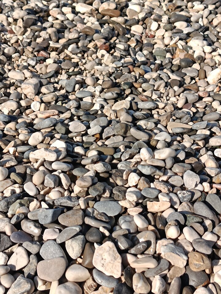 1000008009.jpg - Eniekk