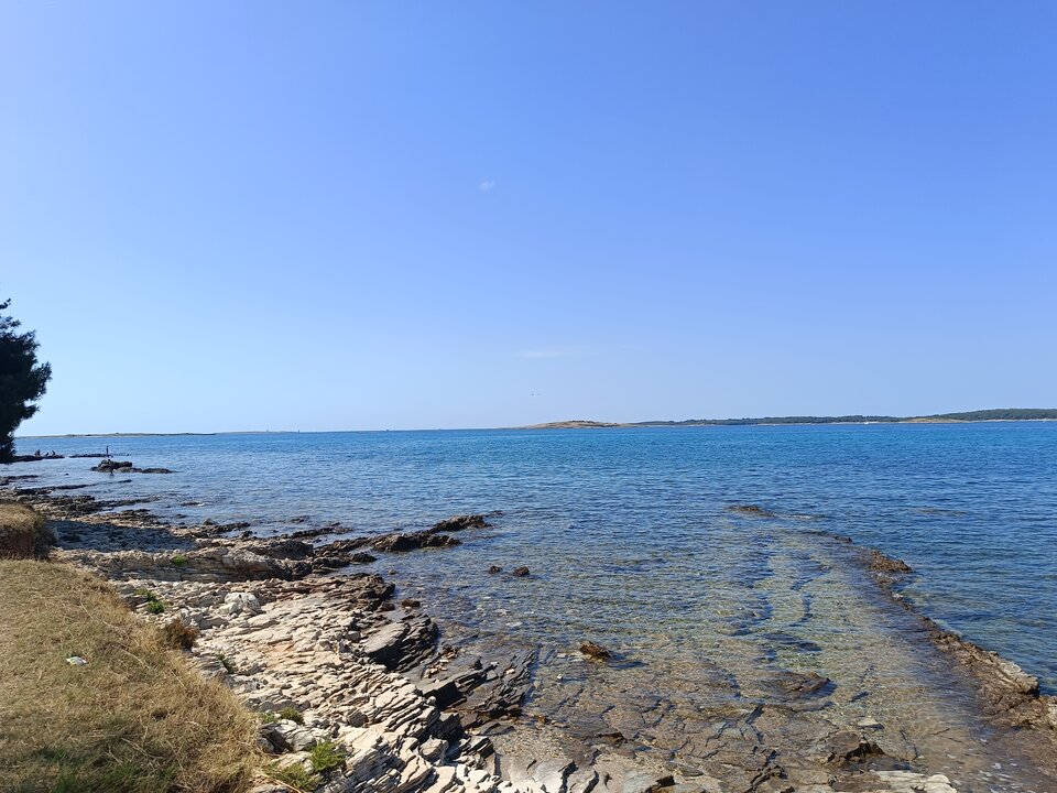 1000008016.jpg - Eniekk