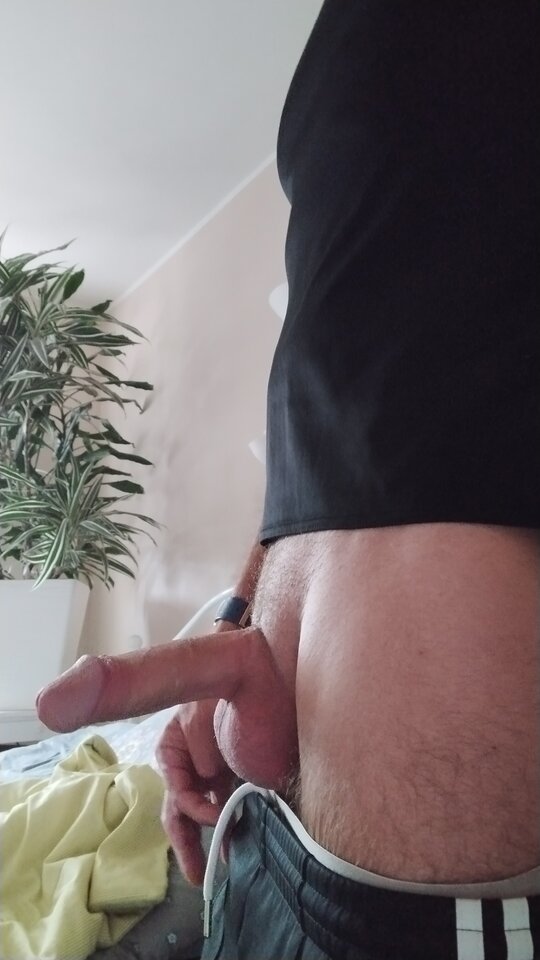 IMG_20250709_094314.jpg - benek29