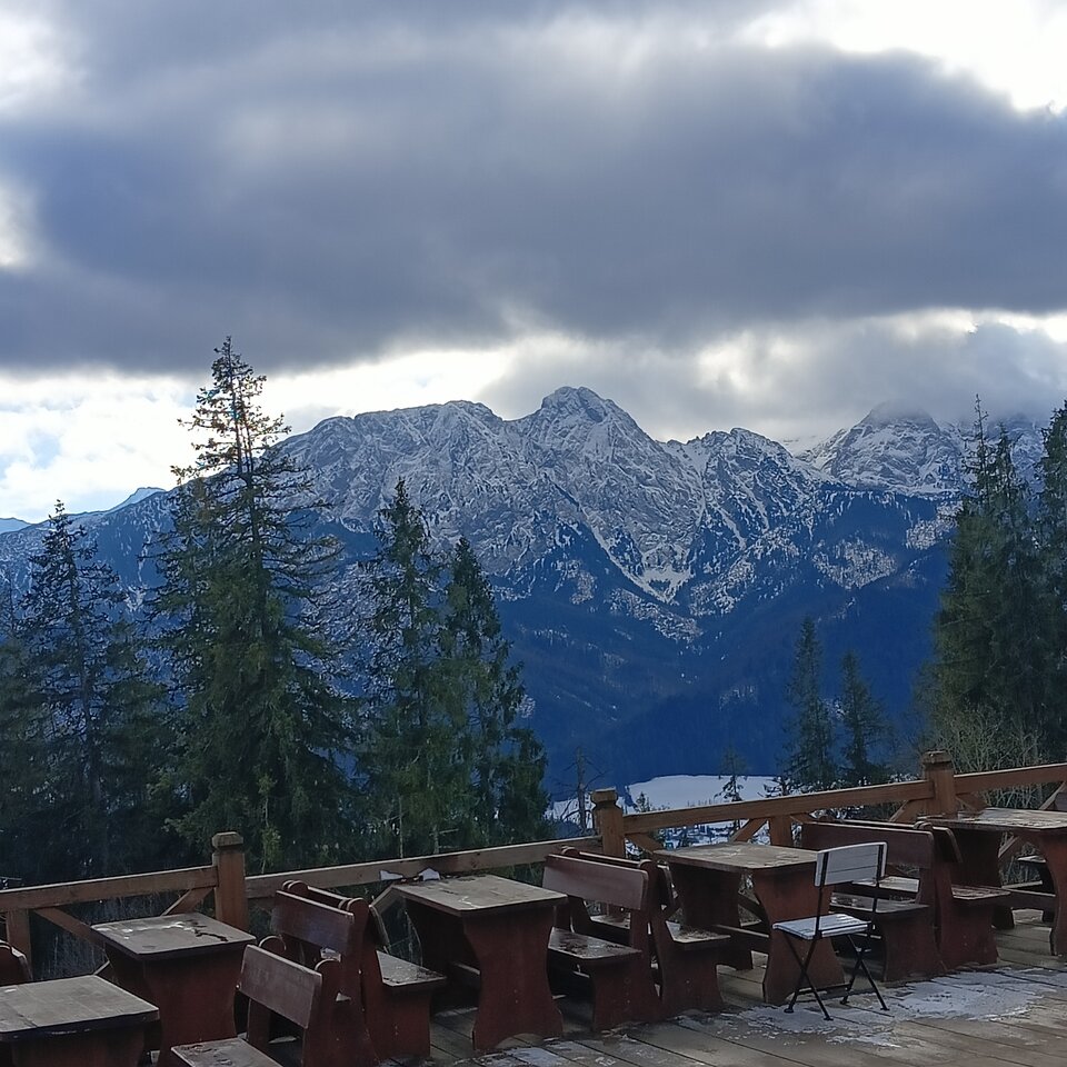 1000001711.jpg - Wszolek