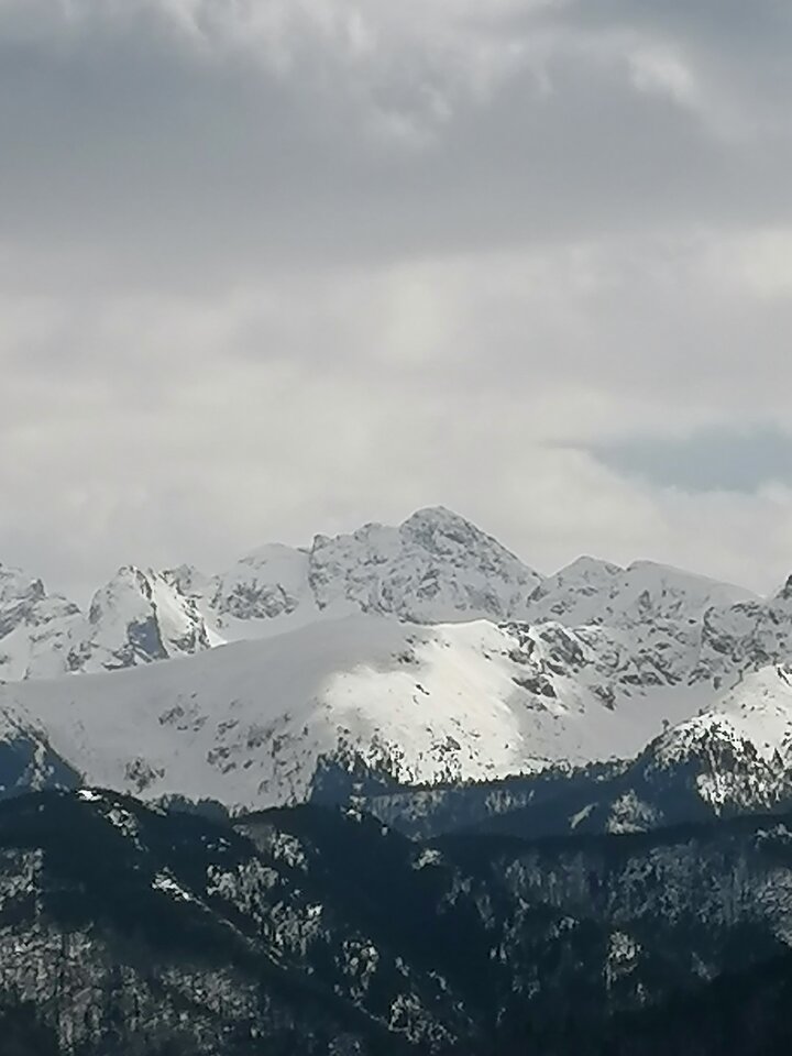 IMG_20210424_130716.jpg - PIETJA1012