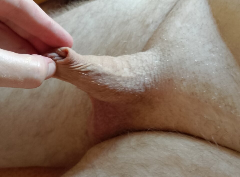 1000006225.jpg - buraczkicukrowe