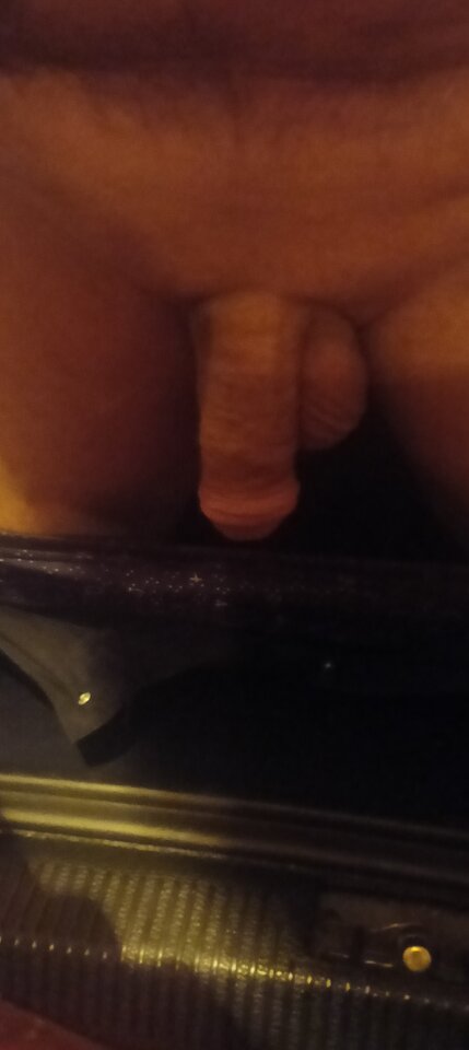 1000004195.jpg - sebastian2323