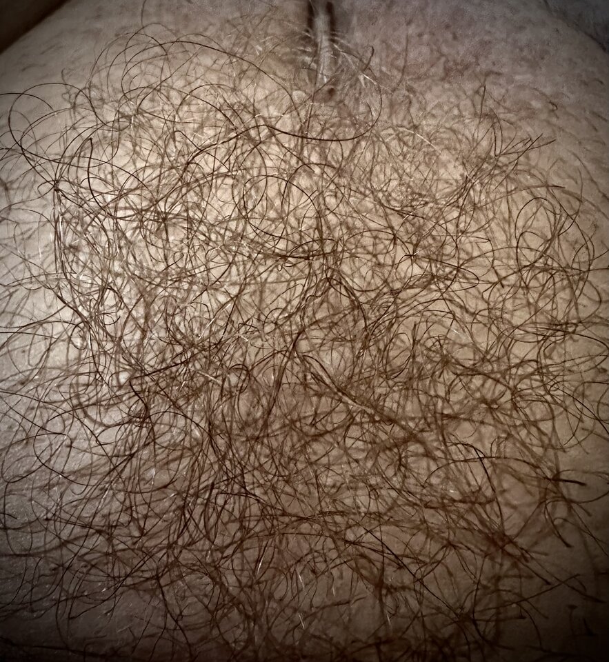 Hair.jpeg - artplast