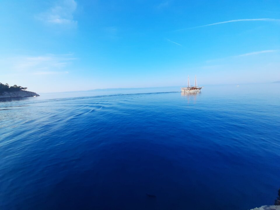 IMG-20200813-WA0009.jpg - fanticgumbas