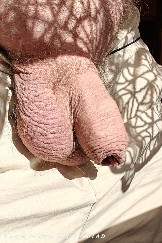 1000016016.jpg - jogan