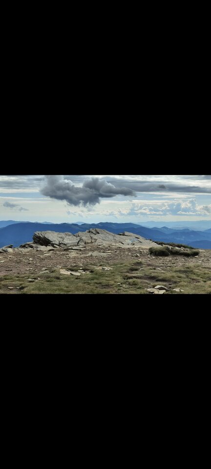 1000025044.jpg - Miki7903