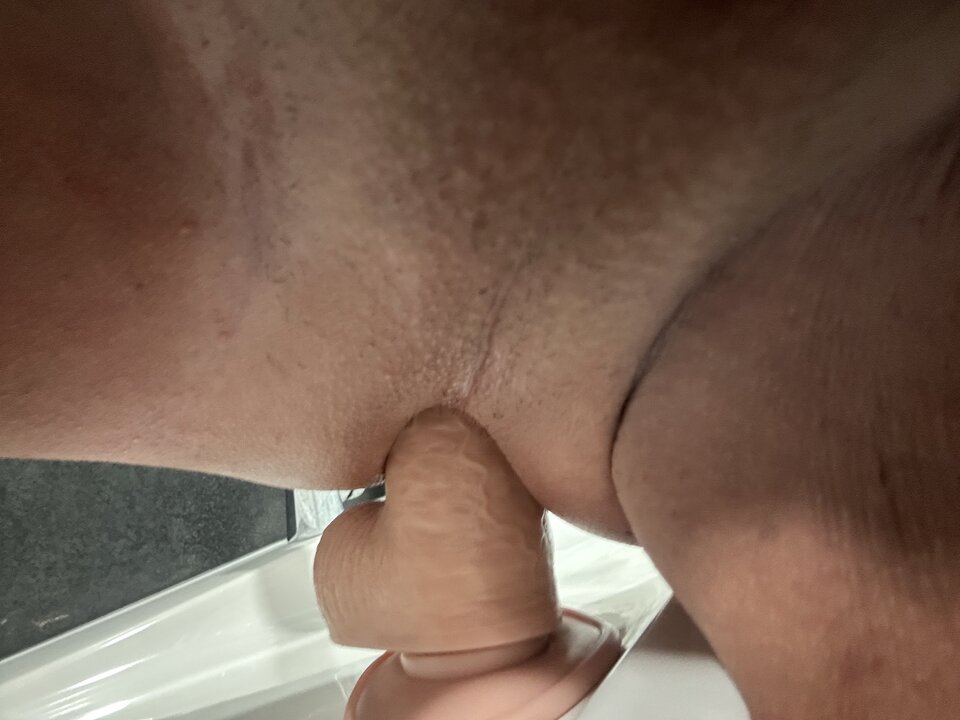 IMG_4836.jpeg - LauraTranss