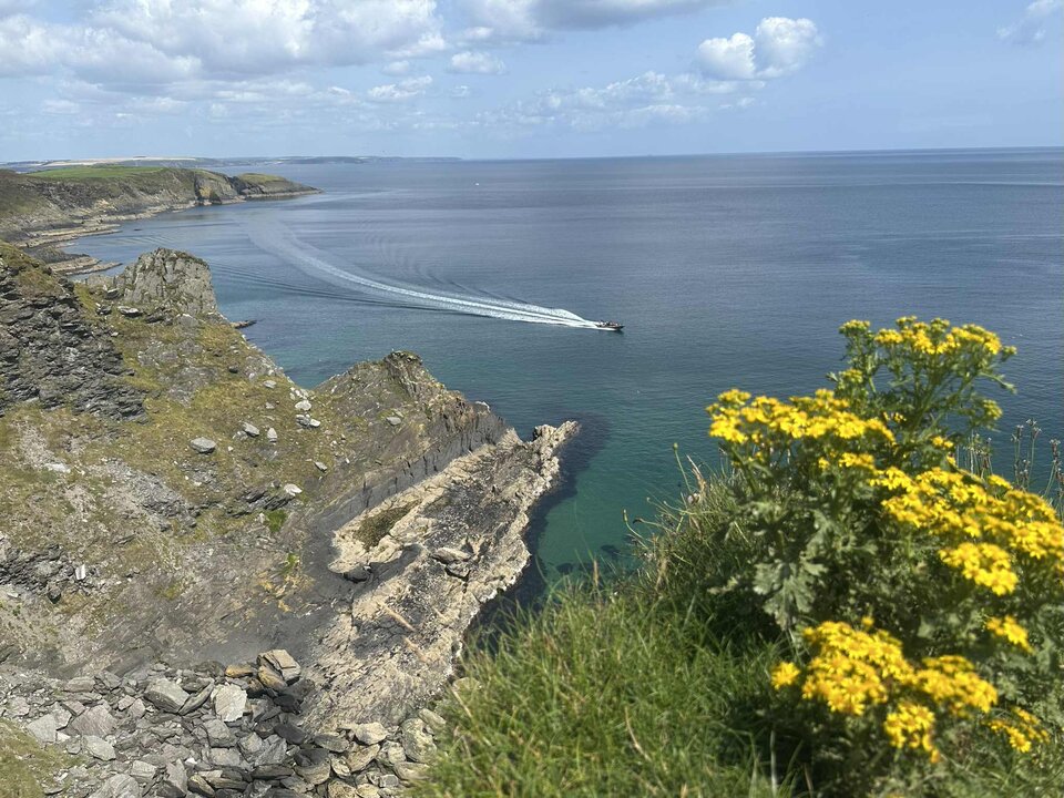 1000010505.jpg - AgusiaCross