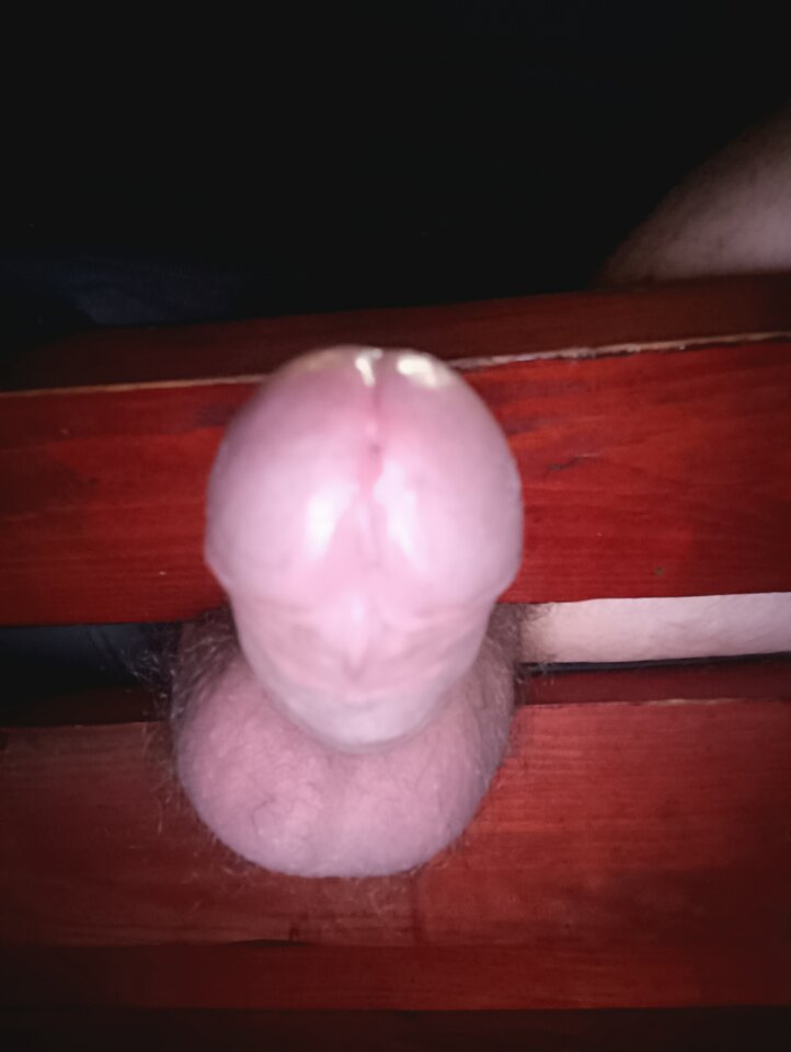 17539388713834995424472801307849.jpg - fa7cowyn